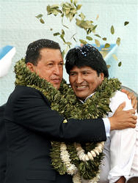 pardemaricos.jpg